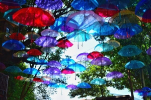傘の森／Forest of Umbrellas